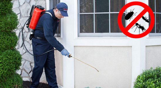 Avanos Hamam Böceği İlaçlama böcek ilaçlama ve haşere kontrolü — ilaclama-tr.com
